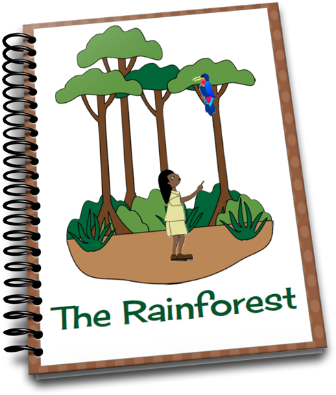 Rainforest Clipart Kapok Tree - Product - Png Download (550x681), Png Download