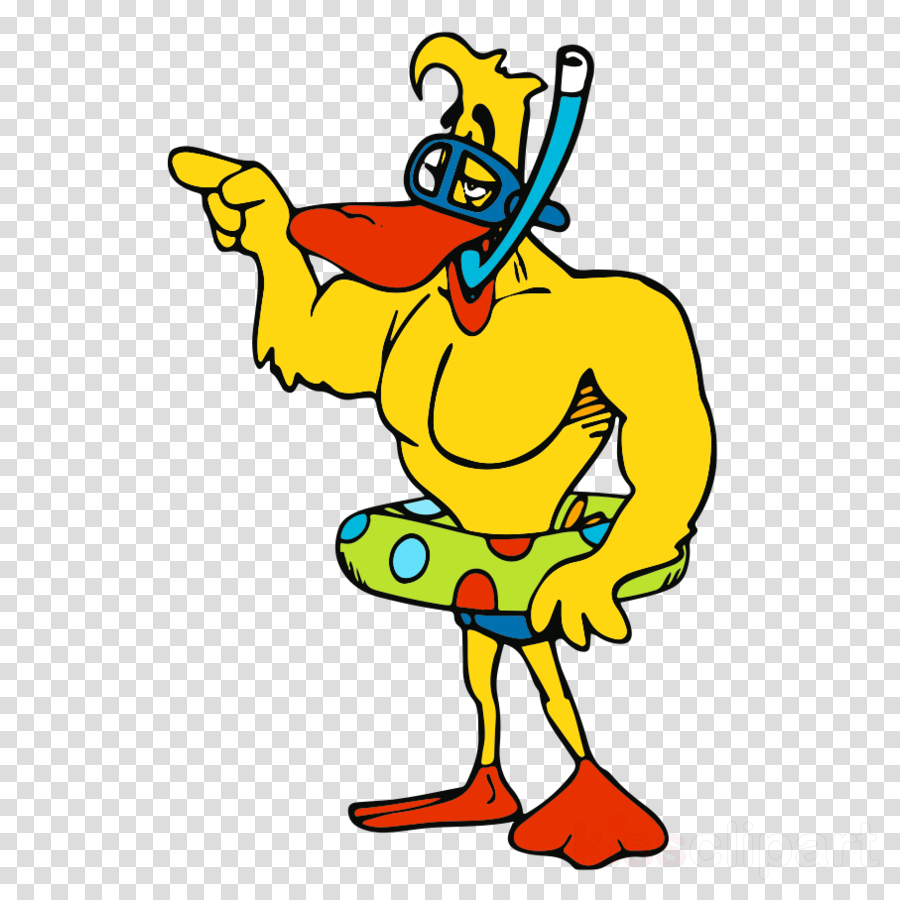 Aqua Ducks Clipart Water Filter Hot Tub Swimming Pools - Aqua-ducks - Png Download (900x900), Png Download