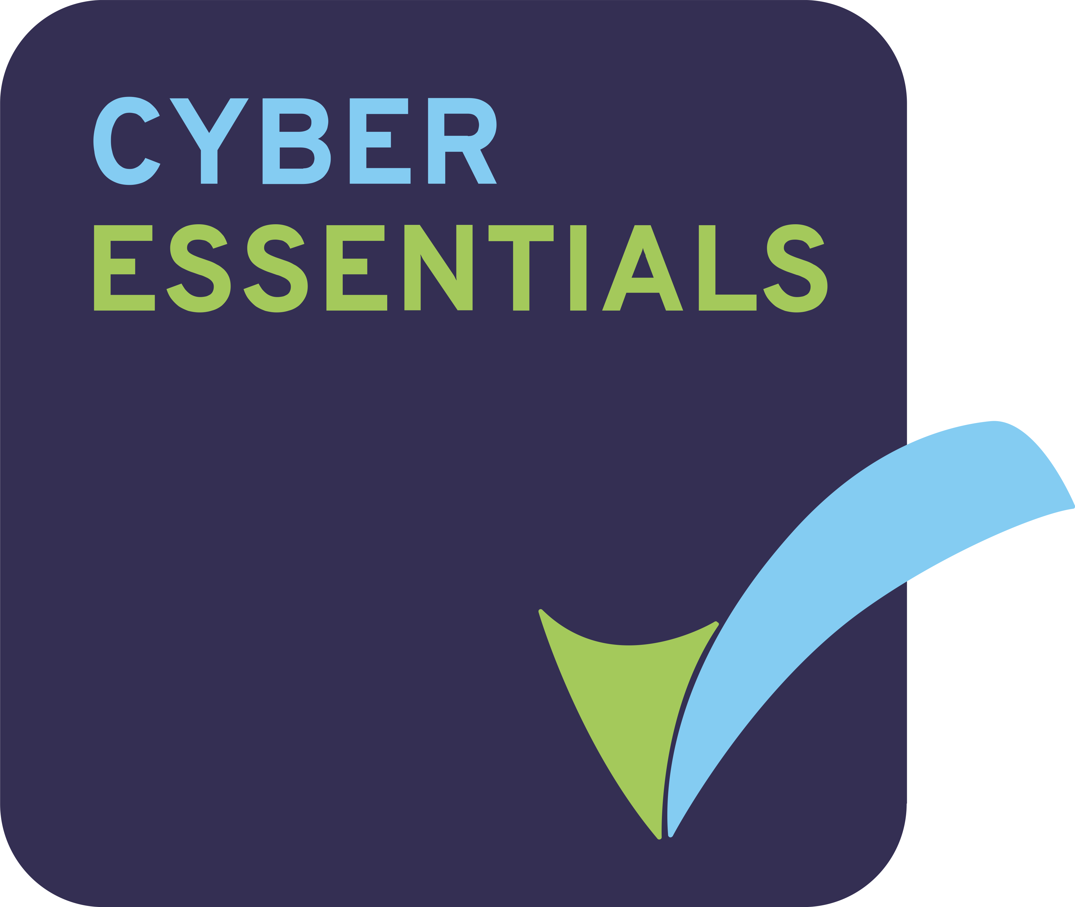 Partners - Cyber Essentials Logo Png Clipart (3573x3013), Png Download