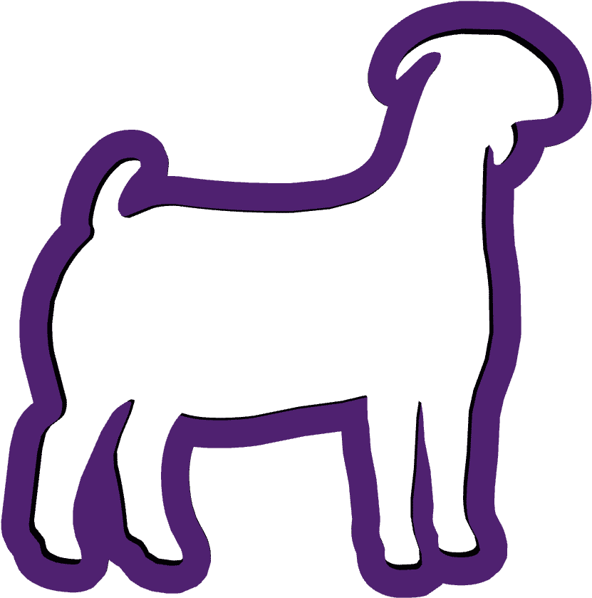 1 - Horse Clipart (1600x1200), Png Download