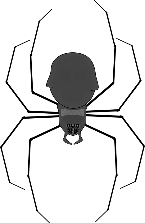 Spiderweb Cartoon 21, Buy Clip Art - Png Download (467x720), Png Download