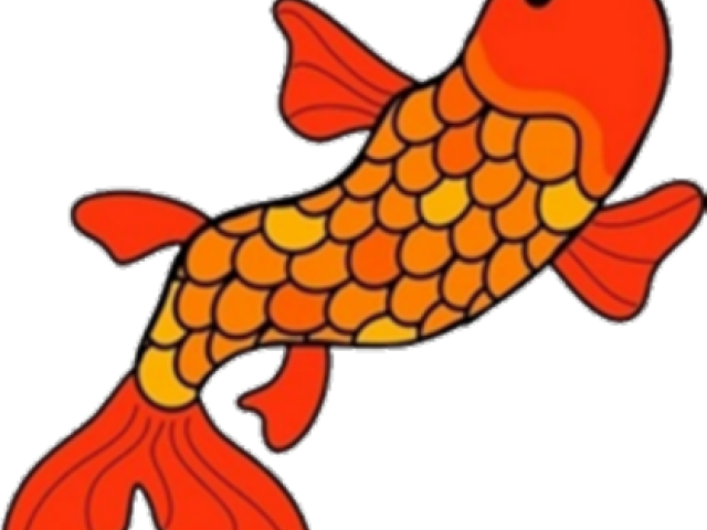 Koi Clipart Transparent - Fish Transparent Background Clipart - Png Download (640x480), Png Download