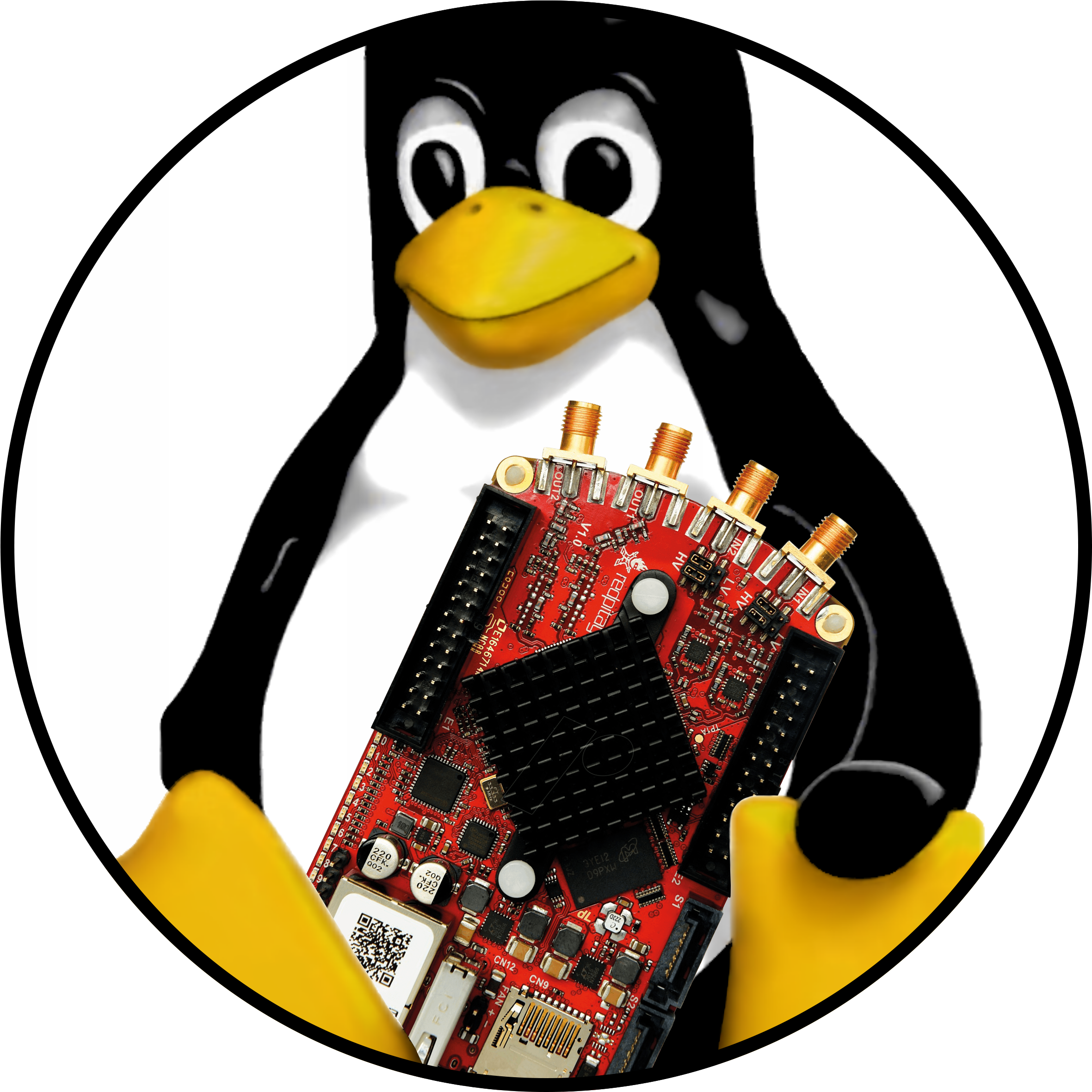 I'm Noah, An Electrical Engineer From Zurich, Switzerland - Linux Penguin Clipart (2400x2796), Png Download