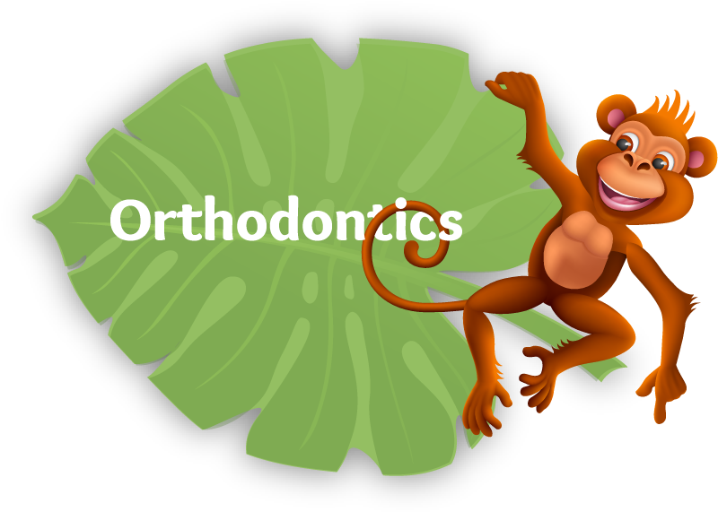 Haven Clipart Surroundings - Banana - Png Download (810x572), Png Download