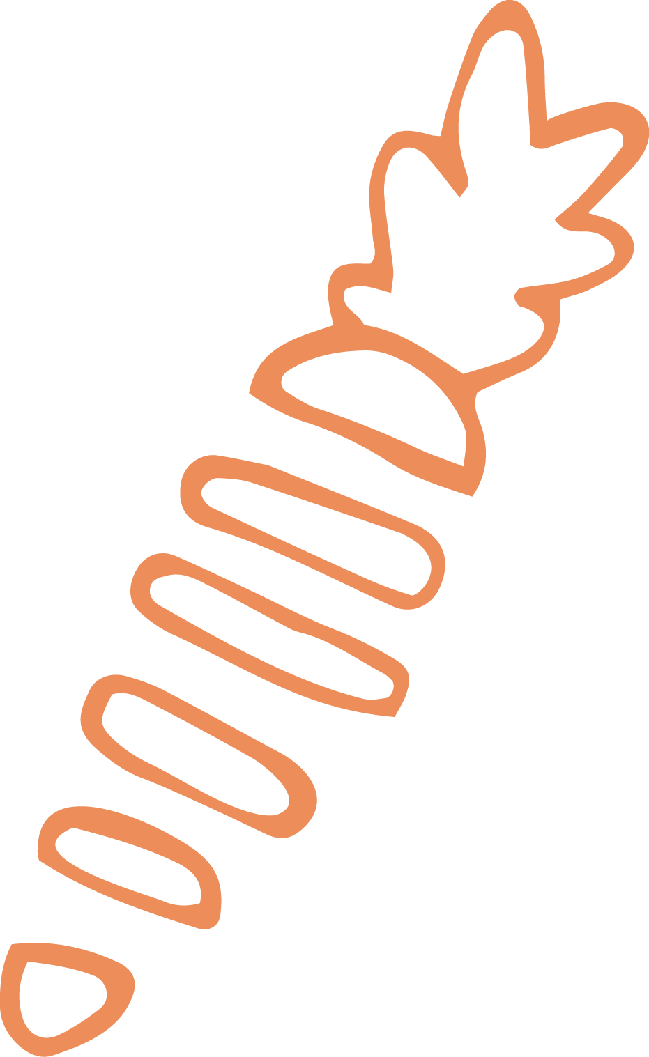 Crops Clipart Carrot Crop - Crop - Png Download (931x1517), Png Download