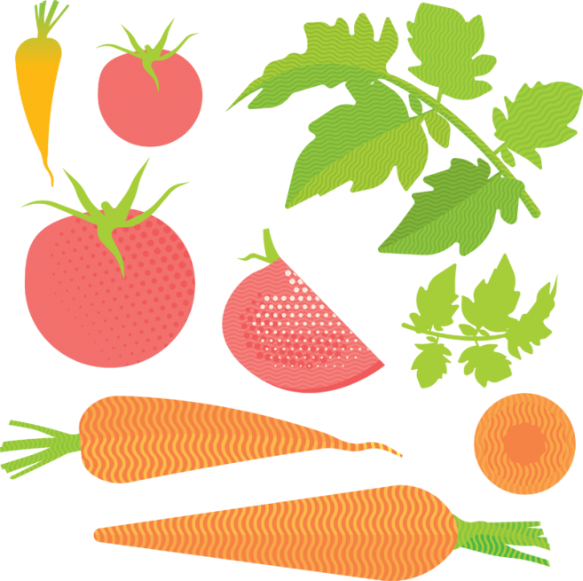 A Lesson In Home Canning - Illustration Clipart (657x655), Png Download