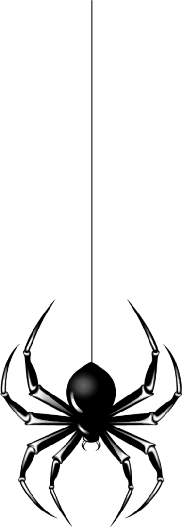 Halloween Spider File - Png Spider Clipart (400x1125), Png Download
