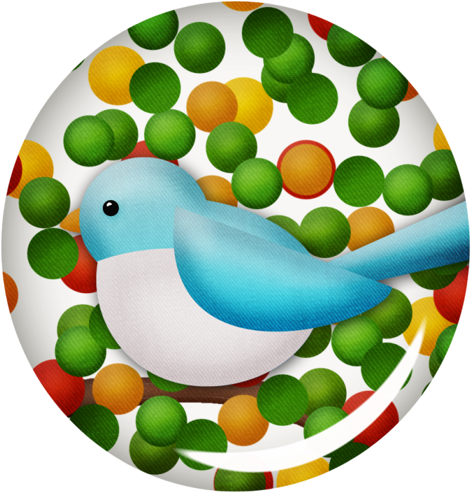 Imágenes De Aves - Circle Clipart (902x870), Png Download