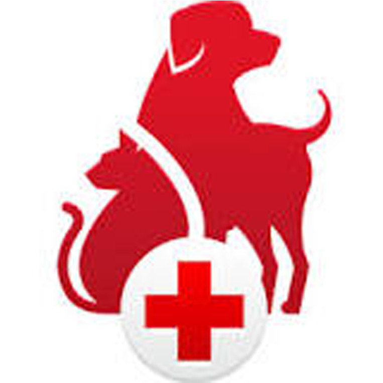 Pet First Aid - Pet First Aid App Clipart (900x900), Png Download