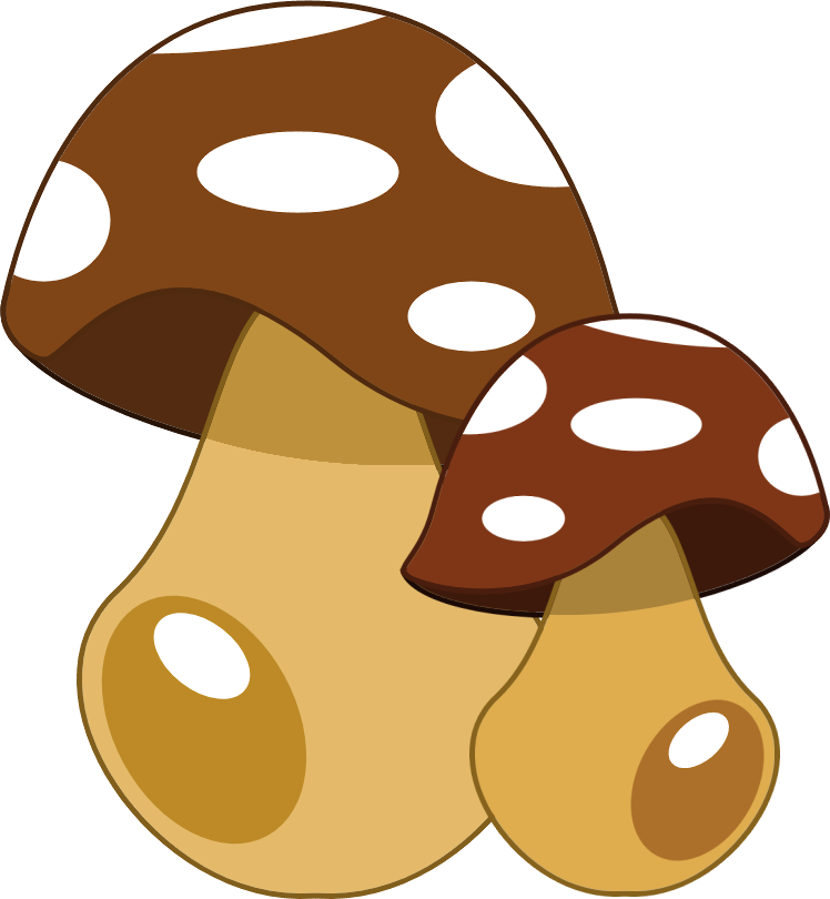 Http - //danimfalcao - Minus - Com/mygimocebbww - Shiitake Clipart (748x810), Png Download