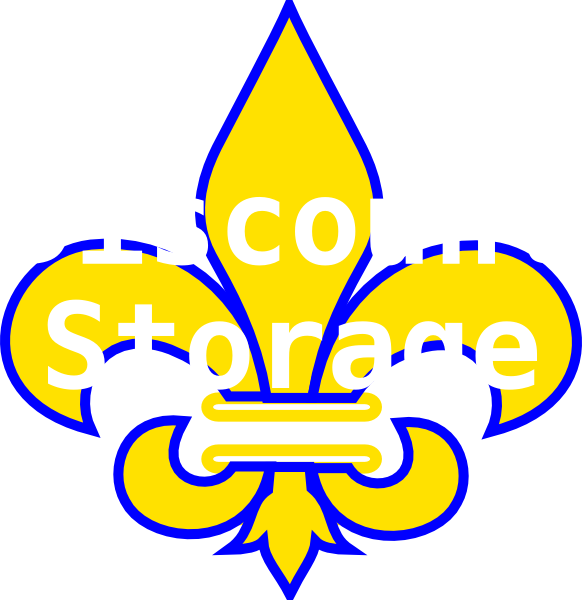 Fleur De Lis Gold With White Svg Clip Arts 582 X 600 - Png Download (582x600), Png Download