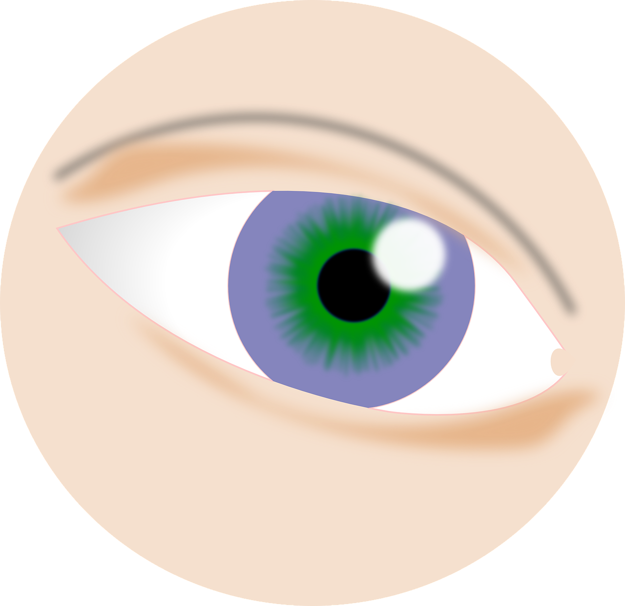 Eye Clipart (1280x1240), Png Download