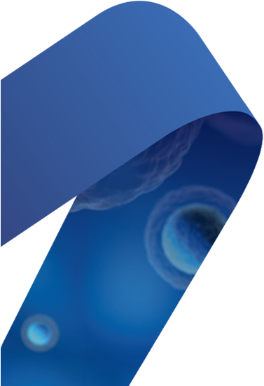 Unlock A World Of Potential With Mei By Your Side - Circle Clipart (718x550), Png Download