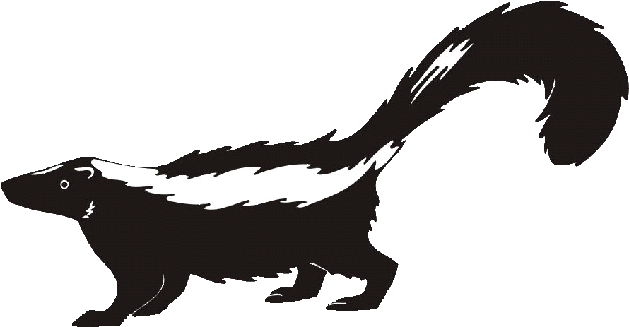Skunk Clipart Transparent - Skunk Clipart - Png Download (889x500), Png Download