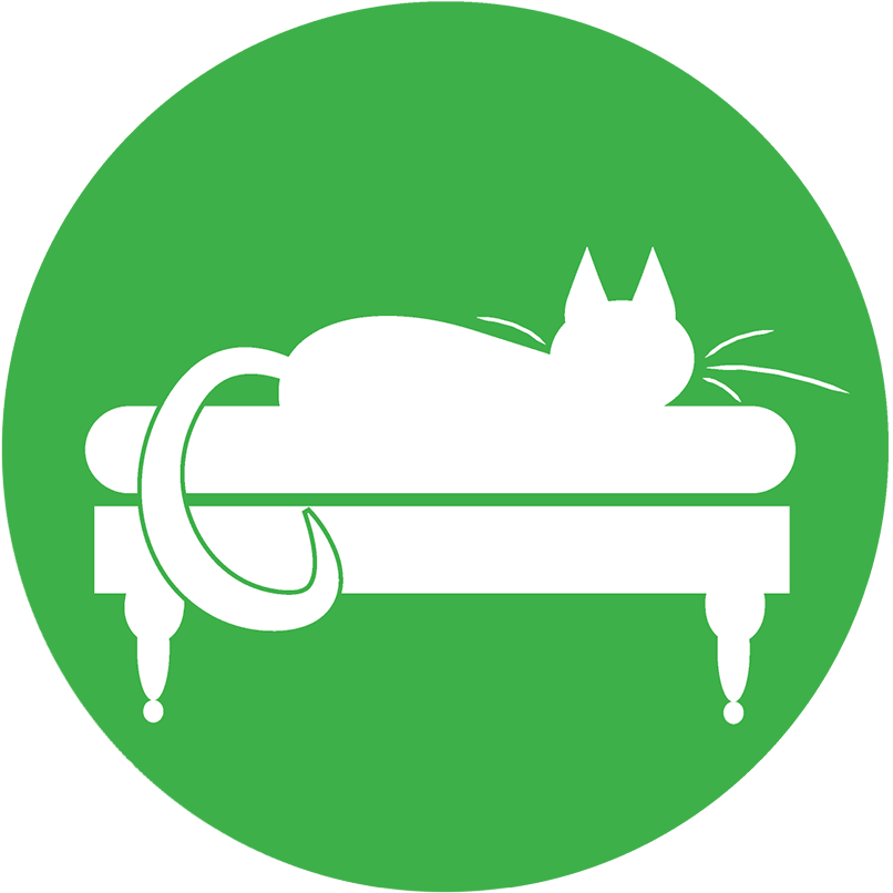 We're Here To Provide All Your Sydney Cat Boarding - International Cooperation Png Clipart (806x806), Png Download