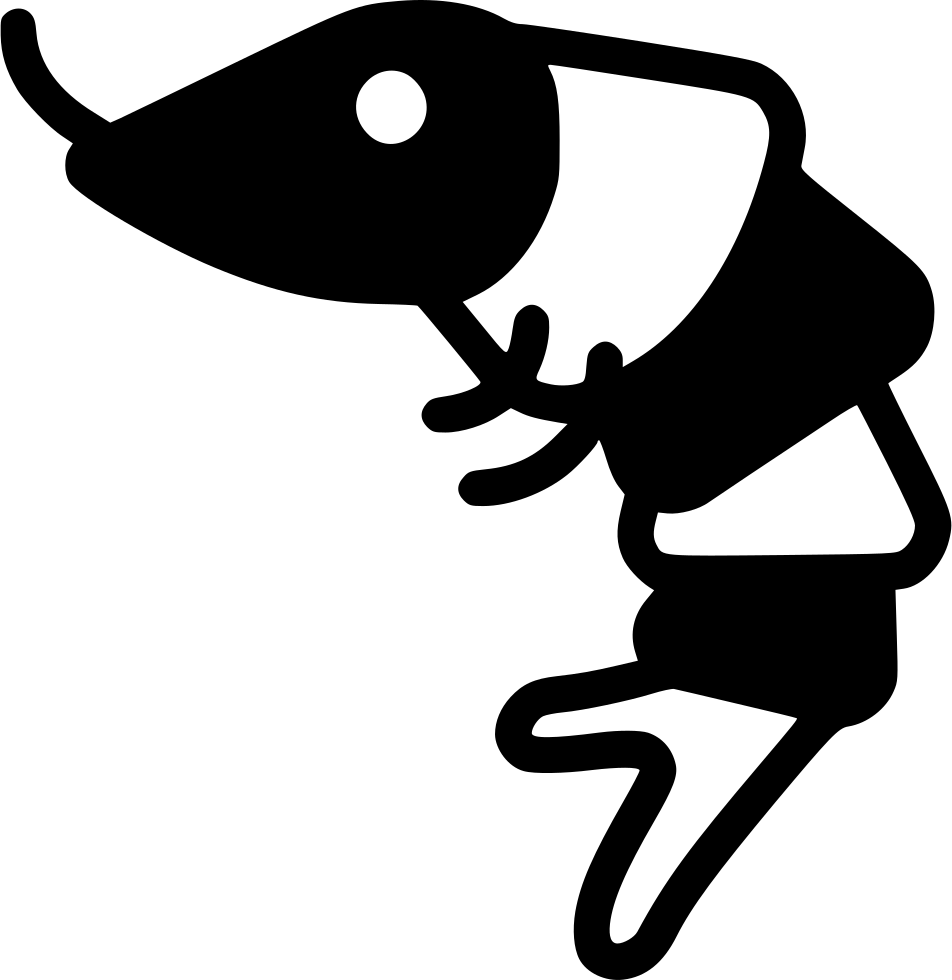 Png File - Shrimp Clipart Black And White Transparent Png (952x980), Png Download