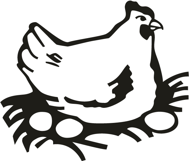 Chicken - Chicken Chicken Clipart (696x696), Png Download