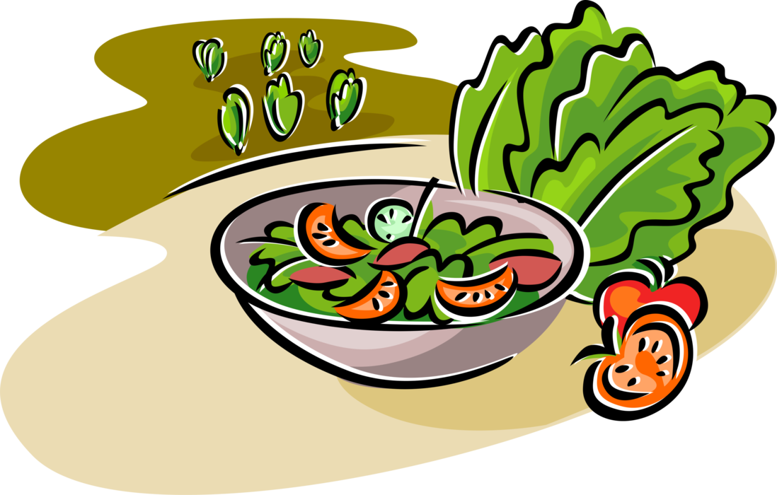 Vector Illustration Of Fresh Green Salad With Romaine - Salada Vetor Png Clipart (1098x700), Png Download