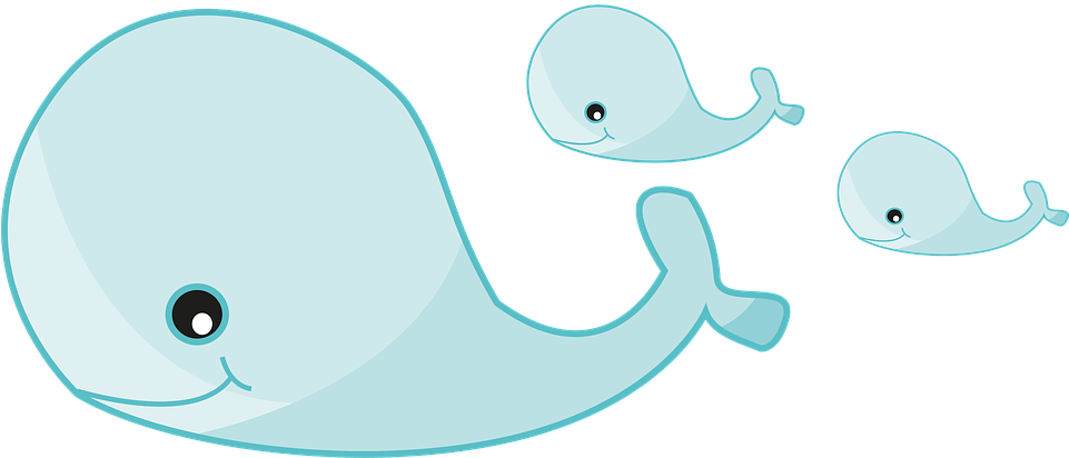 Cartoon Whale Cliparts 29, Buy Clip Art - Png Download (960x556), Png Download