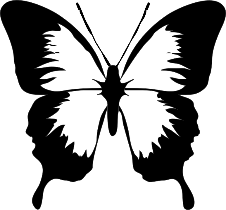 Butterfly Silhouette Cliparts 13, Buy Clip Art - Png Download (773x720), Png Download