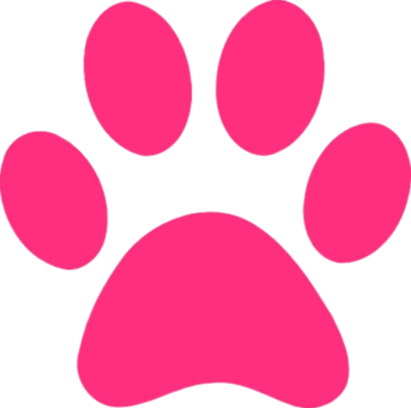 Download - Pink Paw Print Clipart - Png Download (600x596), Png Download