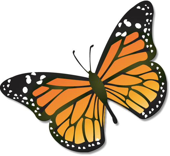 Monarch Butterfly Clipart Funeral - Monarch Butterfly Clipart Transparent - Png Download (587x539), Png Download