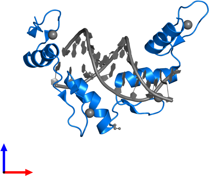 <div Class='caption-body'>pdb Entry 6b0p Contains 1 - Graphic Design Clipart (800x800), Png Download