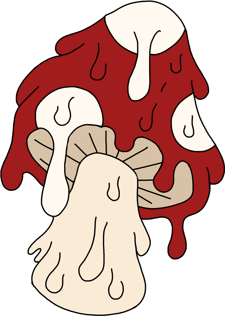 Ftemushrooms Eighth Thank You - Mushroom Clipart (1024x1024), Png Download