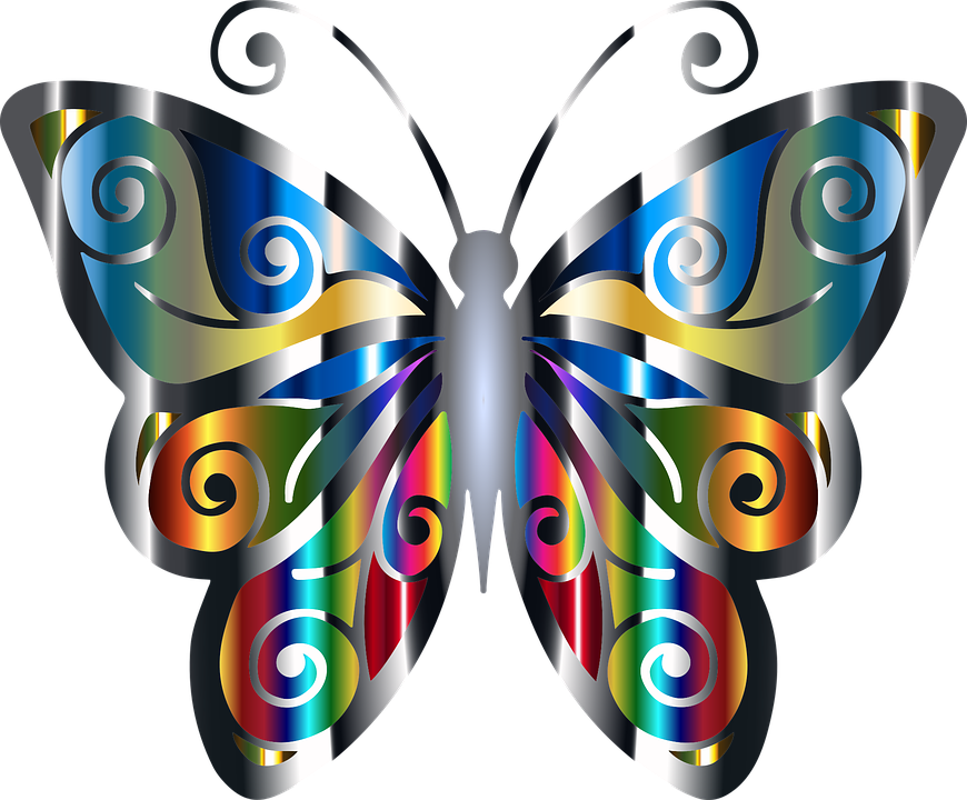 Butterfly Art 5, Buy Clip Art - Png Download (870x720), Png Download
