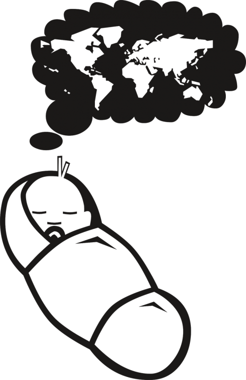 Of - World Map Clipart (500x772), Png Download