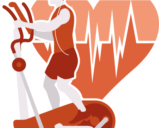 Picture Black And White Download Tolacrosse Com Trainer - Essay Clipart (800x450), Png Download