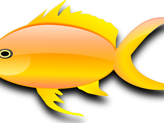 Gold Fish Clipart Pez - Gold Fish Clip Art - Png Download (640x480), Png Download