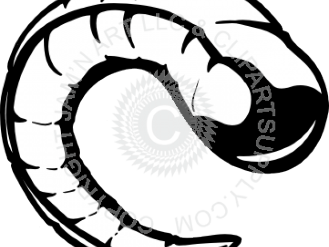 Svg Freeuse Cliparts Free Download Clip Art Carwad - Rams Horn Drawing - Png Download (640x480), Png Download