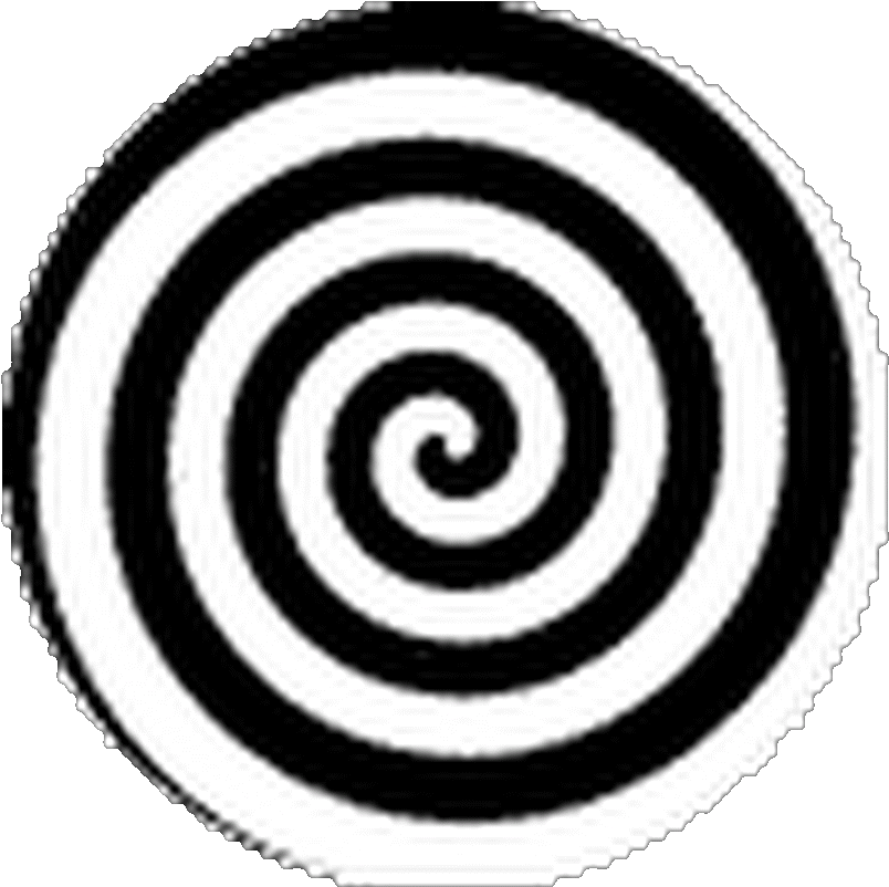 Photo Photo Photo Photo Photo Photo Photo Photo Photo - Spiral Gif Transparent Clipart (835x835), Png Download