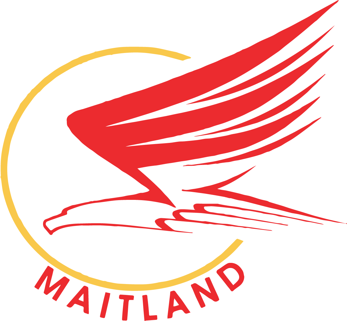 Orange County Public Schoolsmaitlandmiddle School - Hawk Clipart (1330x1234), Png Download