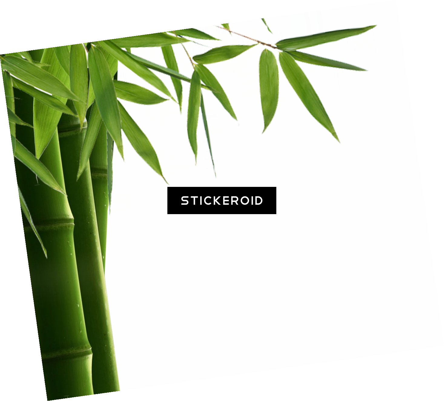 Bamboo Leaf Hd Nature - Лечебные Чаи И Сборы: Карманный Справочник Clipart (1467x1324), Png Download