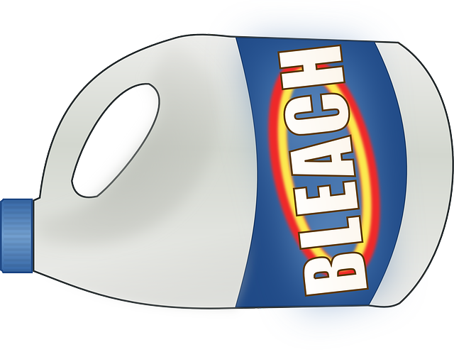 Bleach On Toast Professional Moron - Bleach Boys 2 [book] Clipart (640x496), Png Download