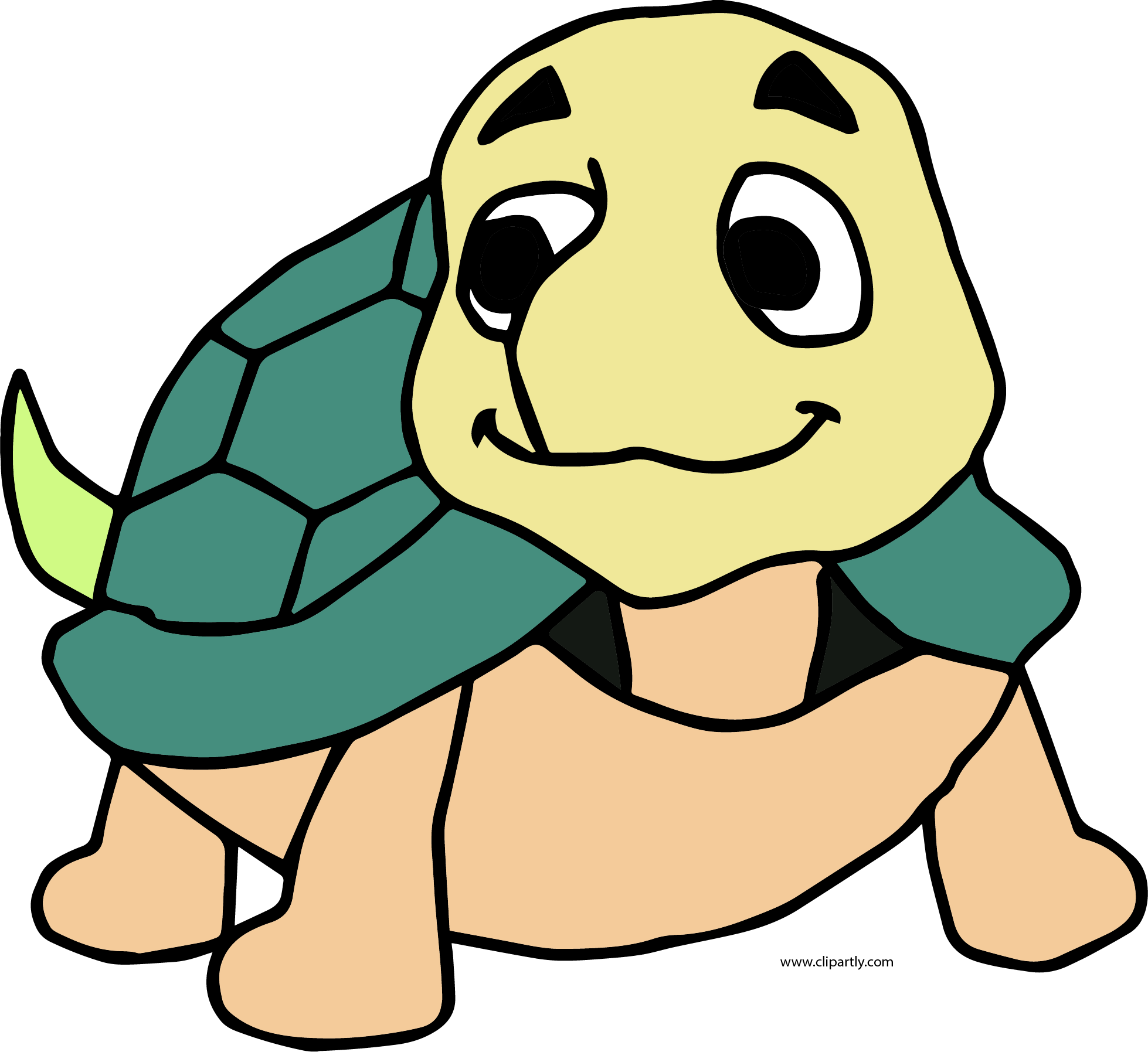 Cute Turtle Clipart Png - Portable Network Graphics Transparent Png (1958x1795), Png Download