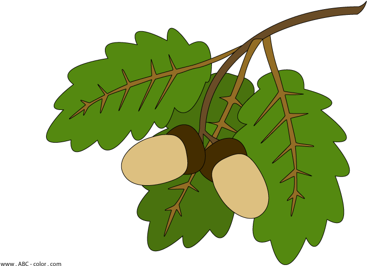 Raster Coloring Oak Leaves 1182&10931715 Clipart - Oak Clipart - Png Download (822x567), Png Download