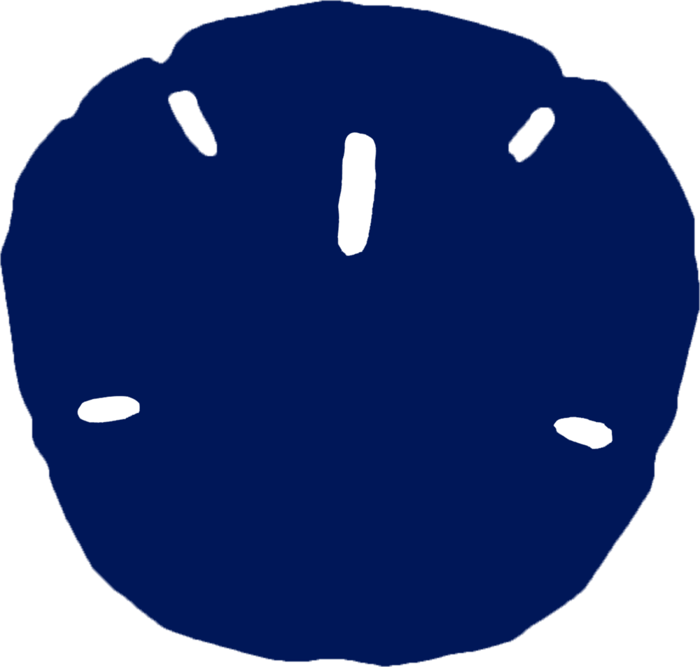 Sand Dollar Clipart (1000x953), Png Download