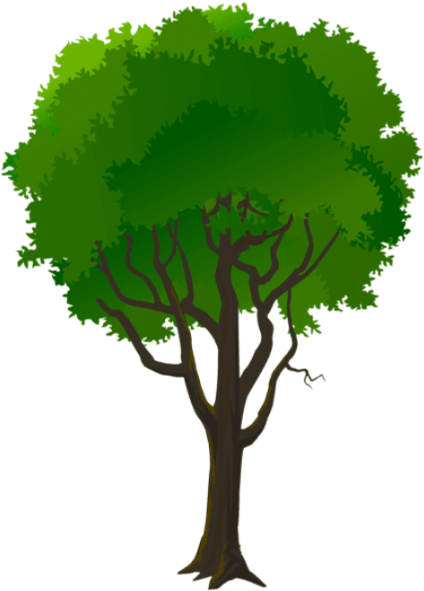 Free Png Tree Decorative Transparent Png Images Transparent - Portable Network Graphics Clipart (480x669), Png Download