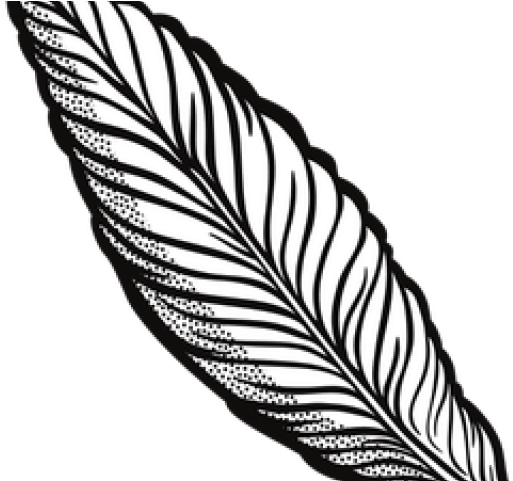 Quill Clipart Transparent Background - Transparent Feather Clipart - Png Download (640x480), Png Download