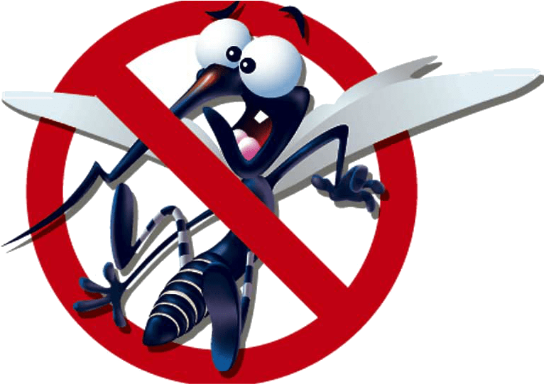 Tipos De Mosquiteras, Cuál Elegir - Tips To Prevent Dengue Clipart (773x540), Png Download