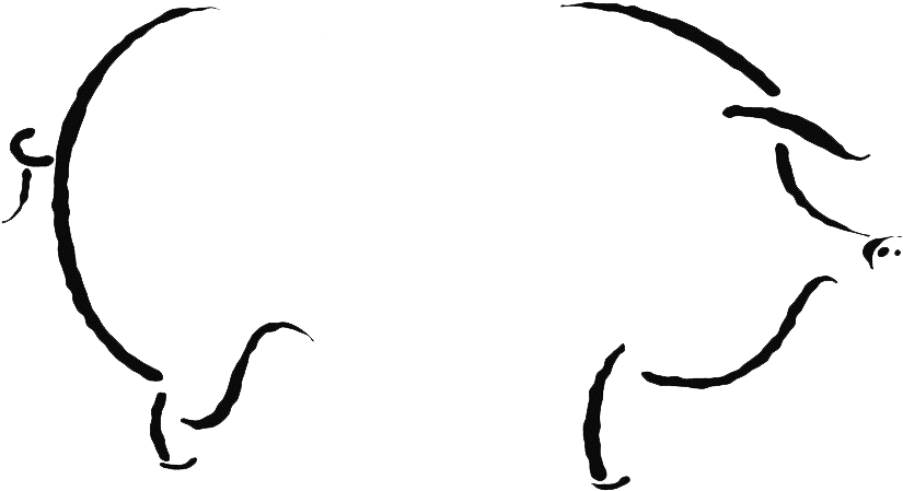 Pig Outine Transparent - Hog Roast No Background Clipart (900x510), Png Download