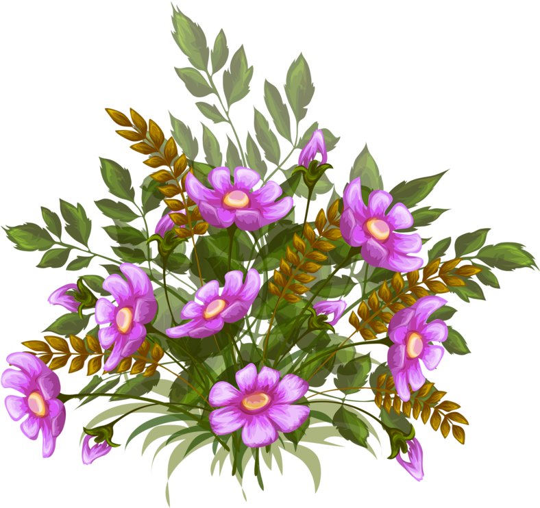 Фото, Автор Soloveika На Яндекс - Vector Graphics Clipart (800x757), Png Download