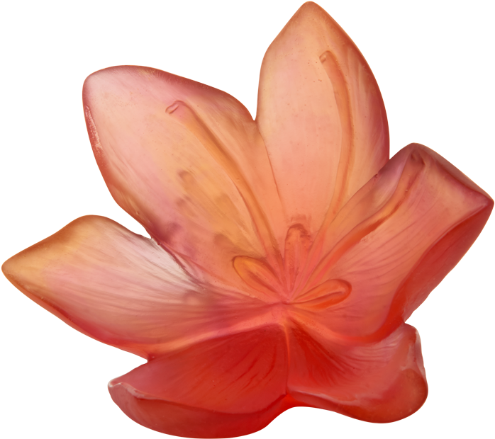 Fleur Decorative Gm Safran 05603 Clipart (1000x836), Png Download