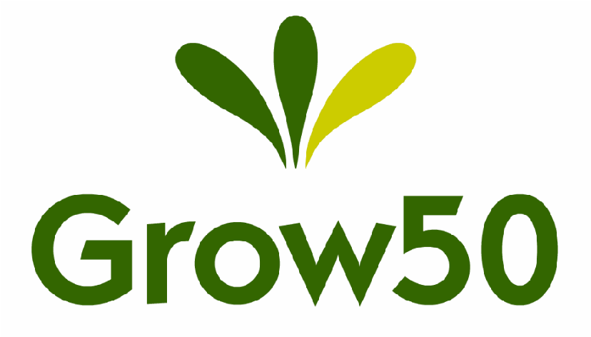 Founder, Grow50 - Graphic Design Clipart (924x768), Png Download