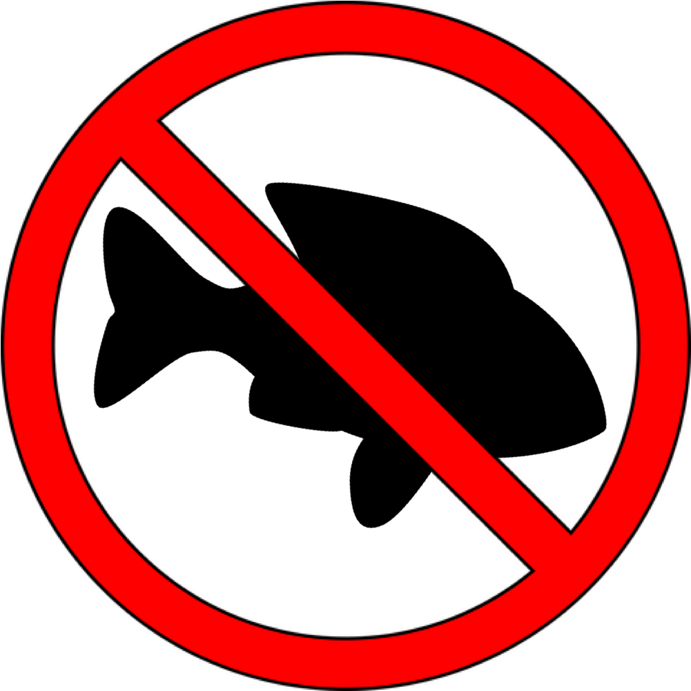 10 Marine Species That Need Protecting - Chinese Food Clip Art - Png Download (1034x1005), Png Download