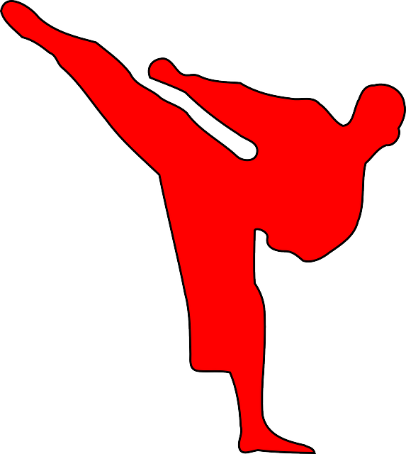 Centrally Located - Karate Red Silhouette Clipart (573x640), Png Download