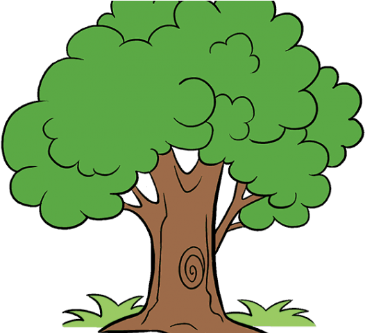 Random Cliparts - Cartoon Tree Drawing Png Transparent Png (640x480), Png Download